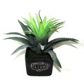 Jeco 11 in. Artifical Succulent Garden HD-BT012